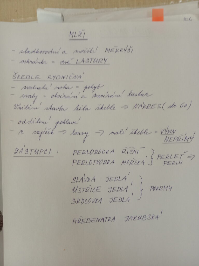 Mlži 6. tř.