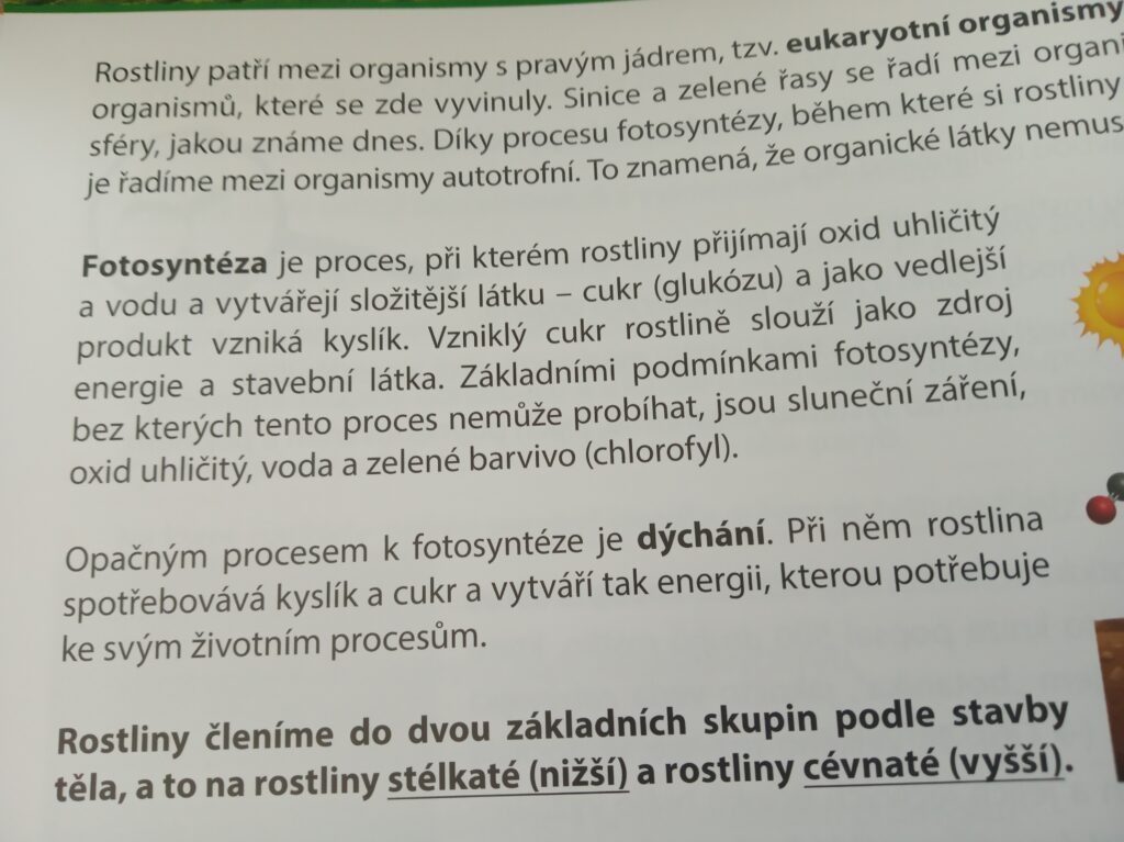 Fotosyntéza - děj